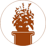 Image of Tulsi Vivah